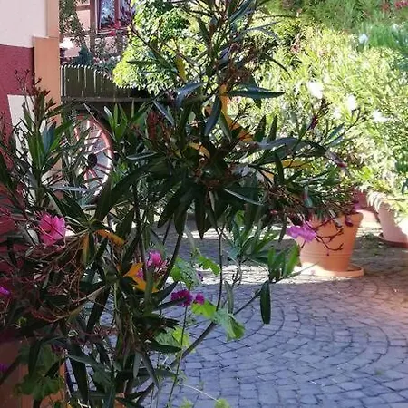 Romantisches - 2 Schlafzimmer Und 2 Baeder - Auf Historischer Hofreite Prázdninový dům *