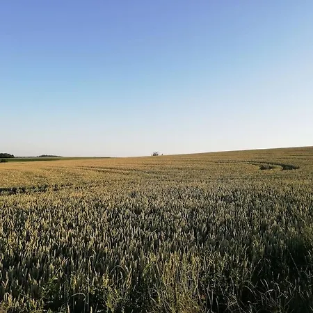 Romantisches - 2 Schlafzimmer Und 2 Baeder - Auf Historischer Hofreite Gründau