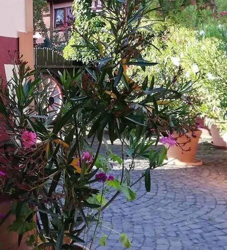 Romantisches - 2 Schlafzimmer Und 2 Baeder - Auf Historischer Hofreite Casa vacanze *